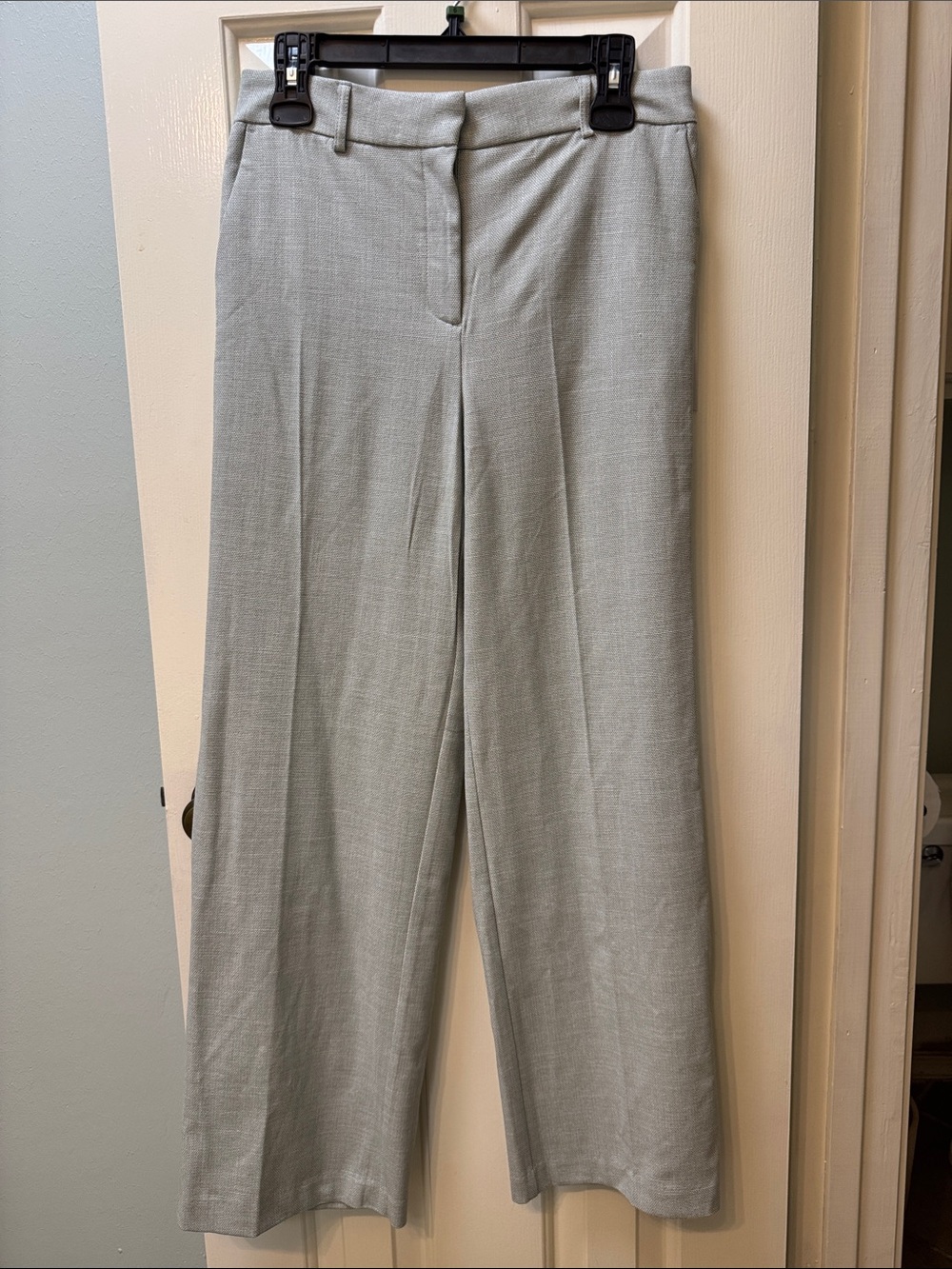 Wide-Leg Dress Pants in Light Sage